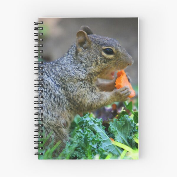 Item preview, Squirrel at Lunch.. designed and sold by RichImage.
