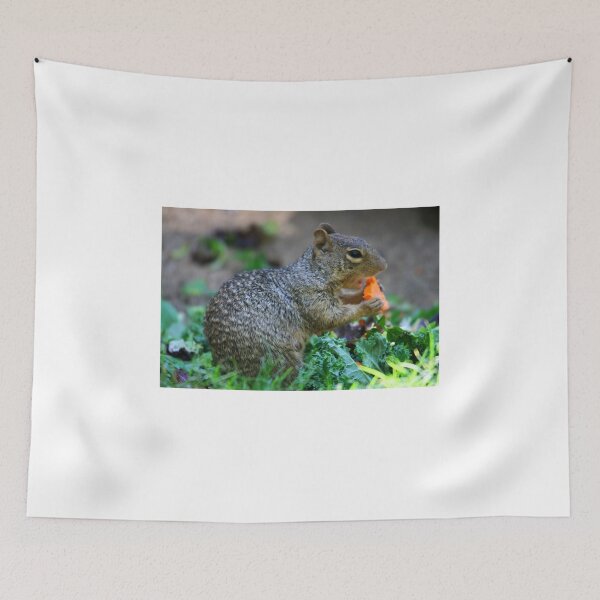Item preview, Squirrel at Lunch.. designed and sold by RichImage.