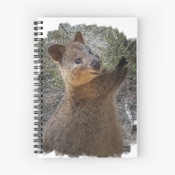 Item preview, Quokka - smile for the camera designed and sold by lucynab.