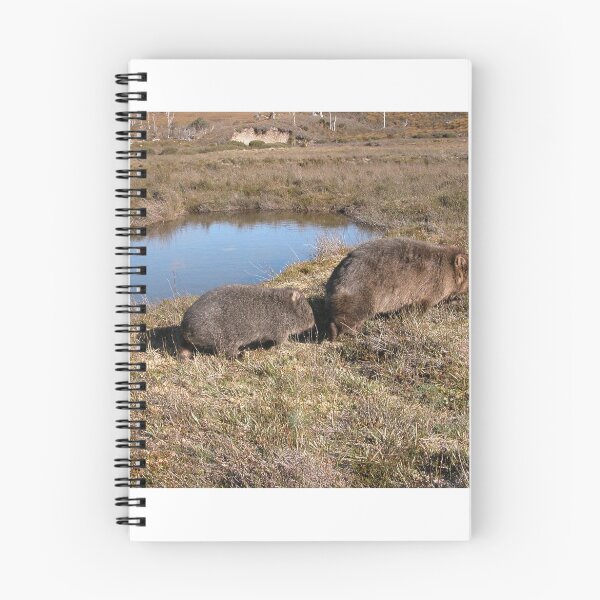Item preview, Mother and Child, Ronny Creek, Cradle Mountain, Tasmania, Australia. designed and sold by kaysharp.