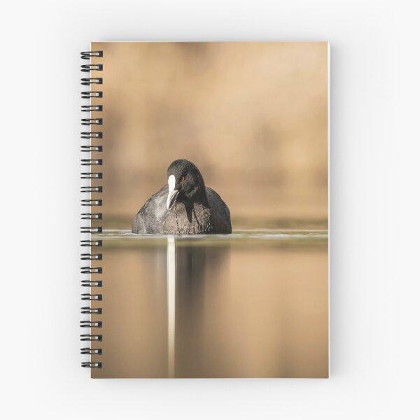 Item preview, coot designed and sold by Kym Bradley.