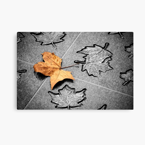 Ageless Beauty Canvas Print
