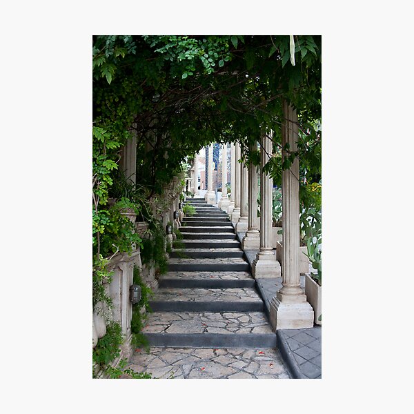 Item preview, Vine Arch Staircase designed and sold by phil decocco.