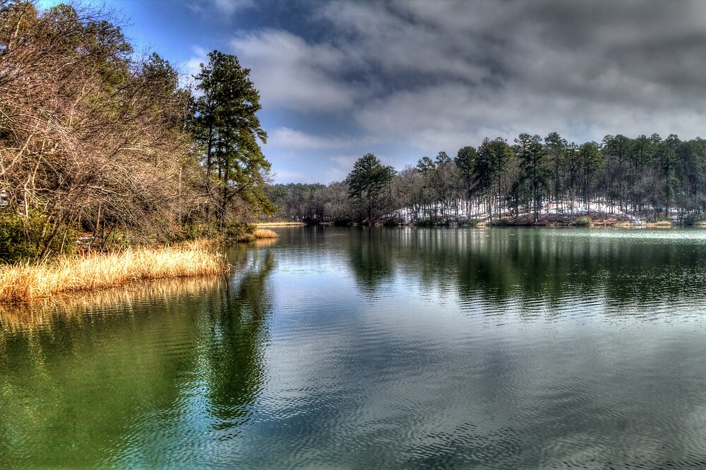 "Lake at Tyler State Park" by Terence Russell Redbubble