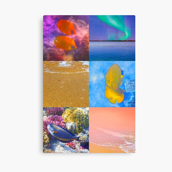 Sealife And Seashore Collage Vertical 3 Canvas Print