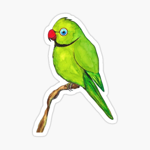 Cute Indian ring neck Sticker