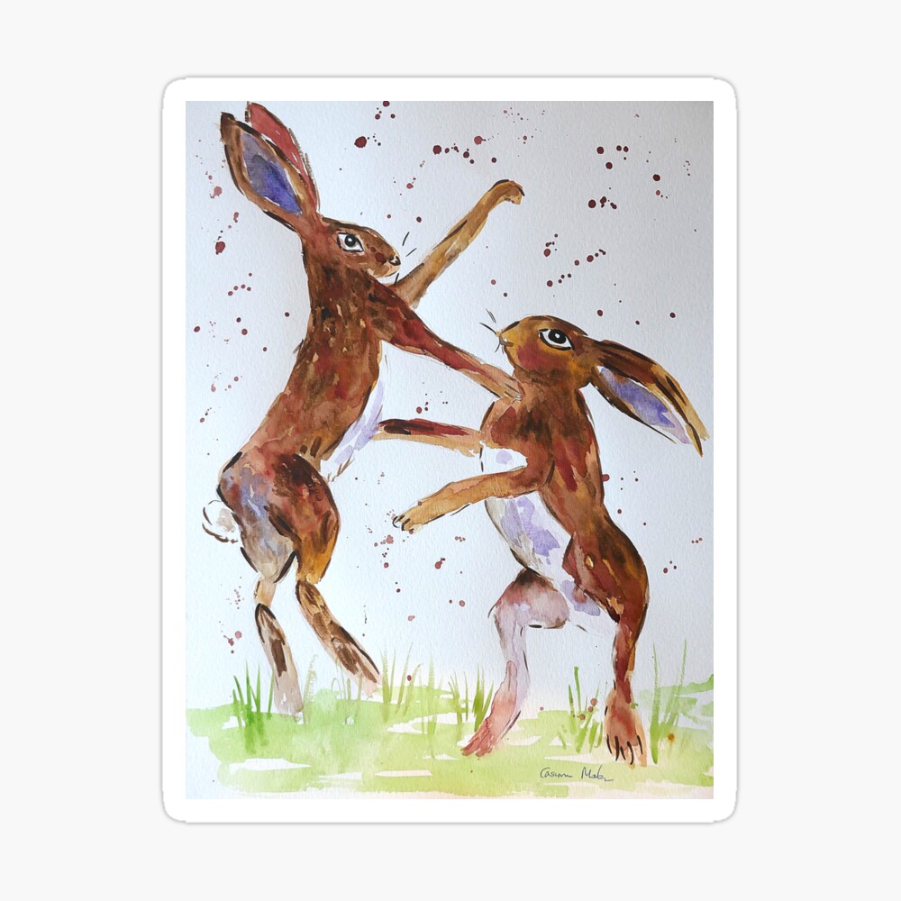 Greeting Card Quirky Hares boxing at Night among flowers 5" x 7" 