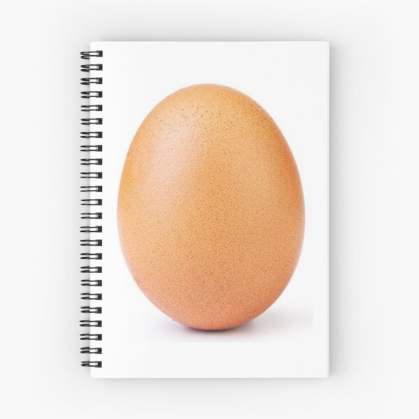 Item preview, world record egg designed and sold by untagged-shop.