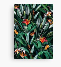 Midnight Garden V Canvas Print