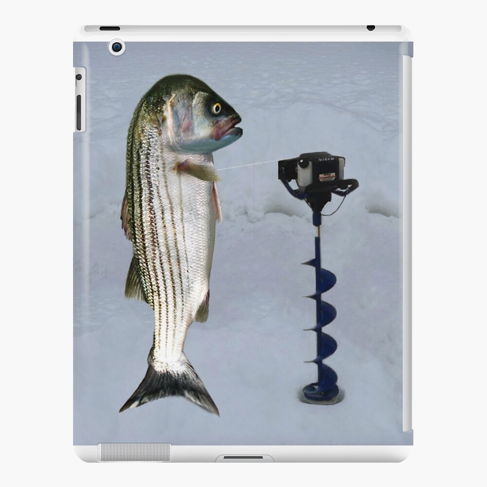 JUST AN AUGER ICE FISHING DAY..STRIPED BASS USING ICE AUGER