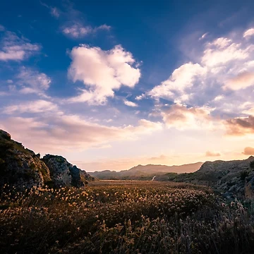 Artwork thumbnail, Golden Valley by Ralph Goldsmith