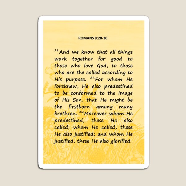 Bible Verses - Romans 8:28-30 Magnet