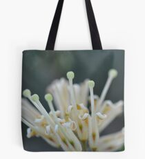 Creamy Grevillea Delight Tote Bag