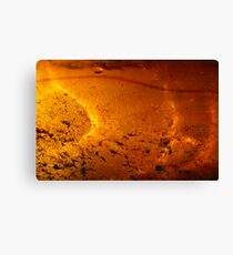Solar Pond Canvas Print
