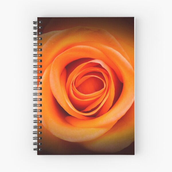 Item preview, an orange rose with vignette designed and sold by wolfman57.