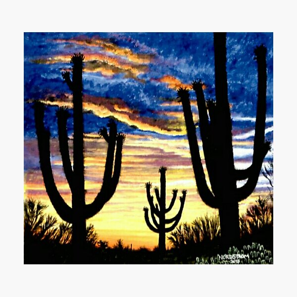 Saguaro Sunset Photographic Print