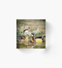 Duck Pond Acrylic Block