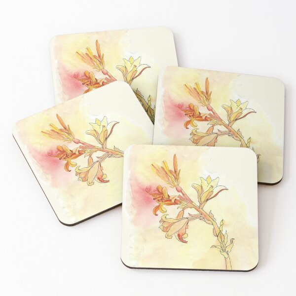 Coasters