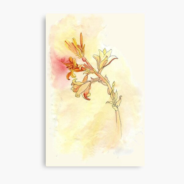 Metal Print