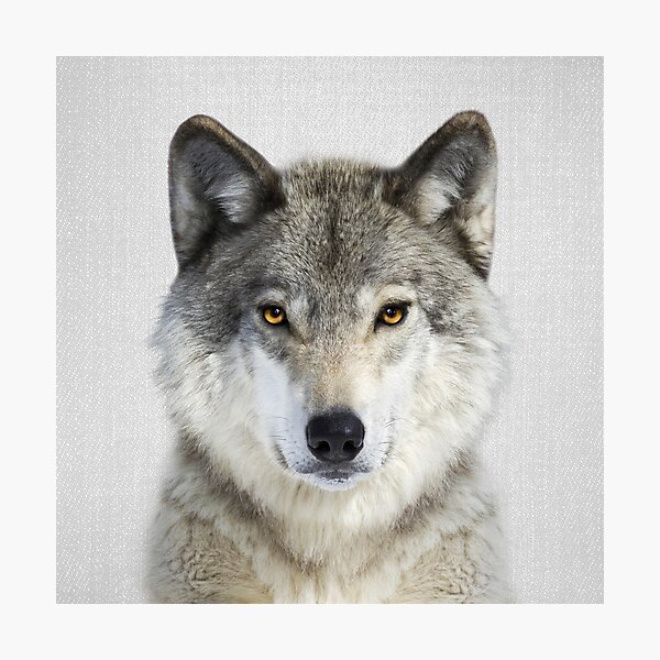 Item preview, Wolf - Colorful designed and sold by galdesign.