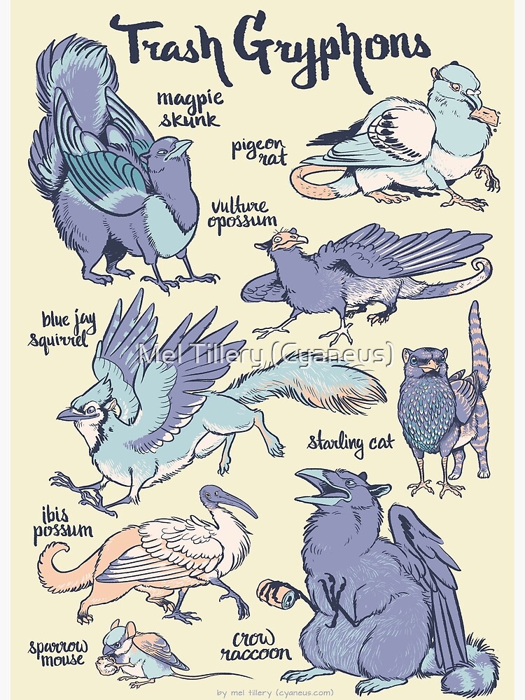 Trash Gryphons: Collection by tillery