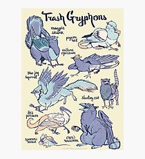 Trash Gryphons: Collection Photographic Print