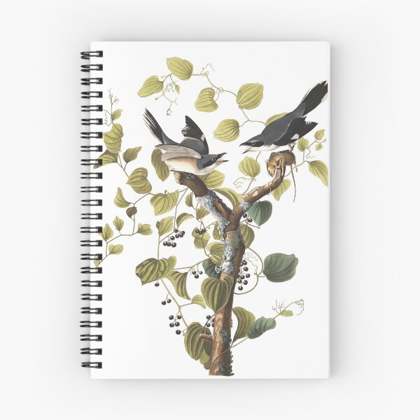 Item preview, Loggerhead Shrike -  John James Audubon designed and sold by billythekidtees.