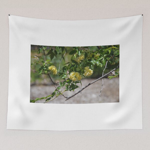 Item preview, Yellow Roses designed and sold by lezvee.