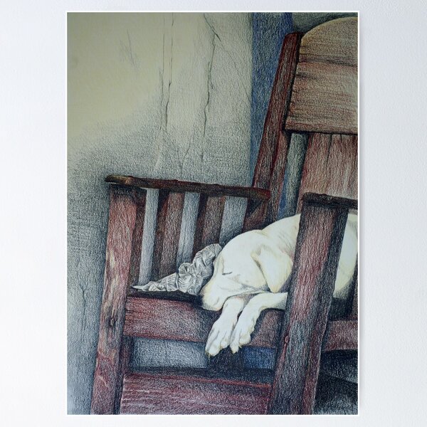 Item preview, Sleeping Dog in Panama designed and sold by Julie Howell.