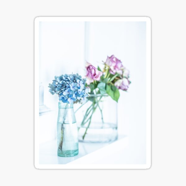 Blue Hydrangea and Pink Roses Sticker