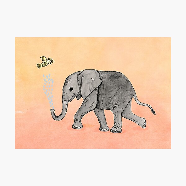 Elephant and the Bird Photographic Print