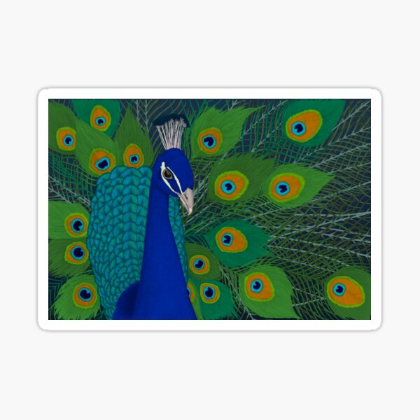 Peacock Sticker