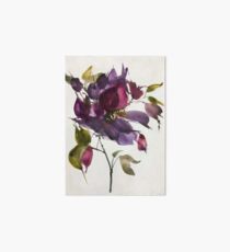 Clematis Art Board Print