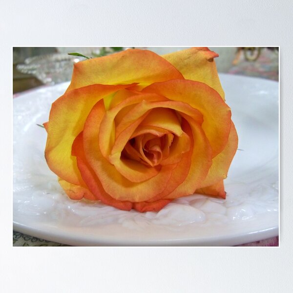 Item preview, My favorite color Rose designed and sold by Diane Trummer Sullivan.