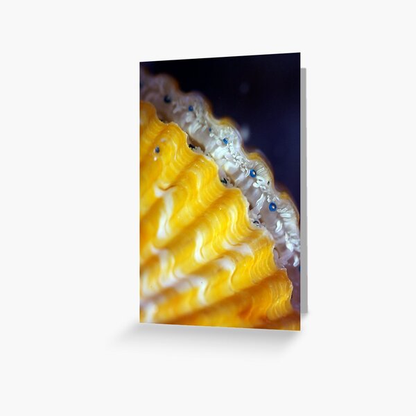 What Pretty Eyes You Have Greeting Card