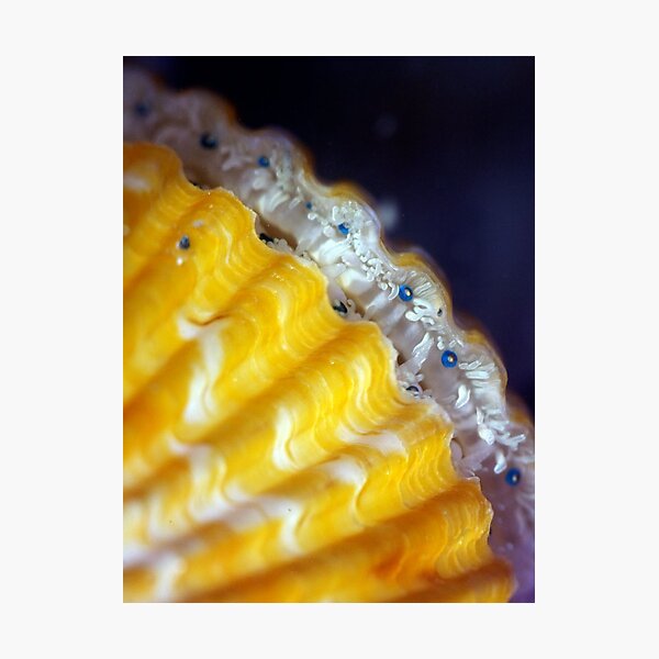 What Pretty Eyes You Have Photographic Print