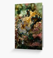 nudi Greeting Card