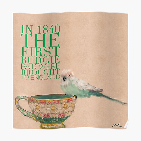 Baby Budgie (parkeet tiny and cute) on teacup animal facts green typography Poster
