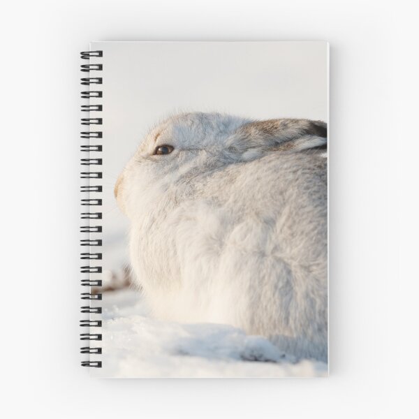 Item preview, White bunny, white rabbit designed and sold by chanonry.