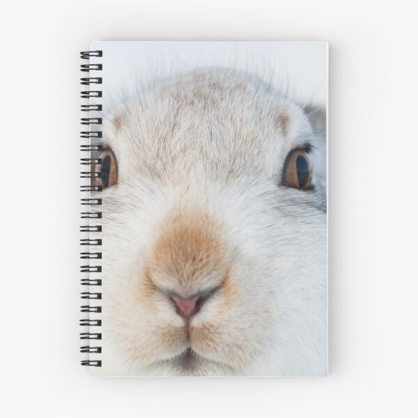 Item preview, White bunny, white rabbit designed and sold by chanonry.