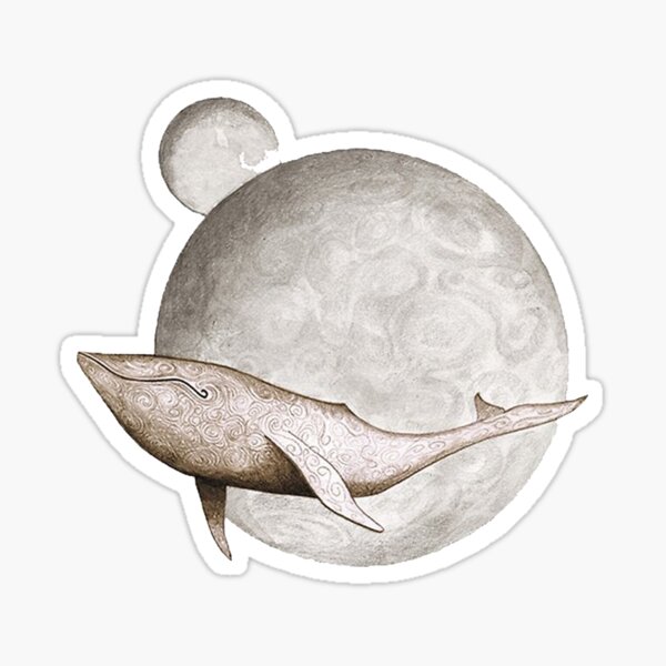 dolphin Sticker