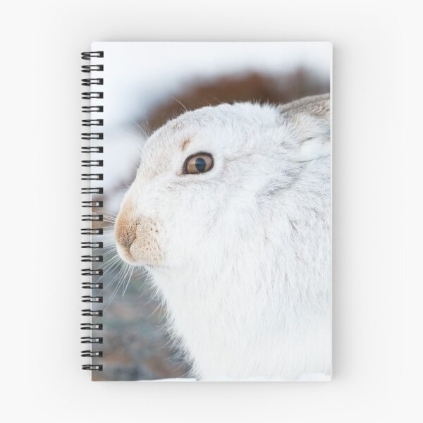 Item preview, White bunny, white rabbit designed and sold by chanonry.