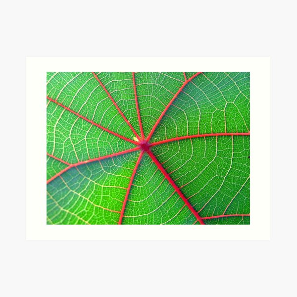 my roof is leaking !! Art Print