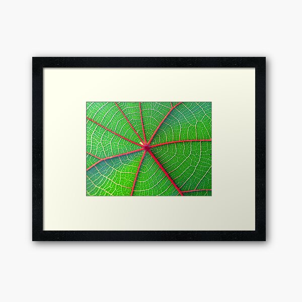 my roof is leaking !! Framed Art Print