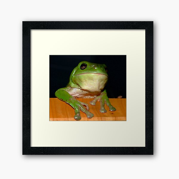 the newest member of the family .... Framed Art Print