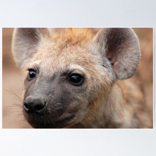 Item preview, Fierce Hyena cub! designed and sold by Sharon Bishop.