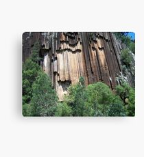Sawn Rocks (Mt Kaputar National Park, Northwest NSW) Canvas Print