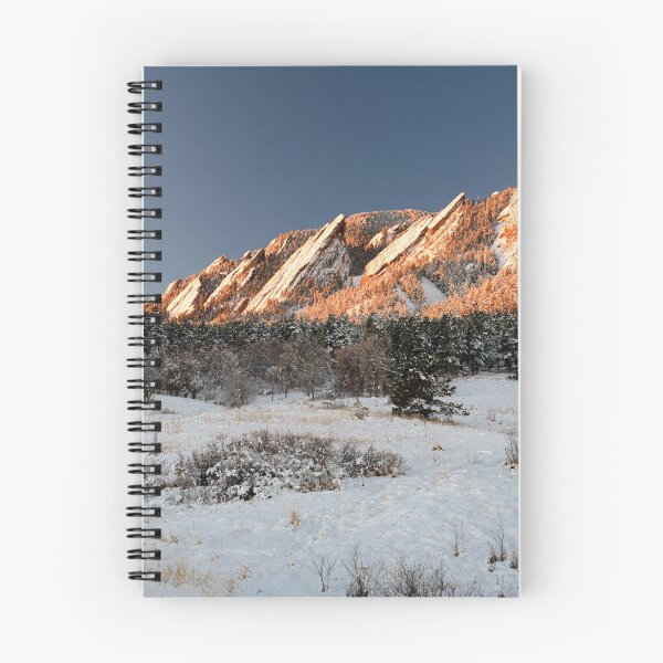 Item preview, A Flatiron Dusting designed and sold by mikewheels.