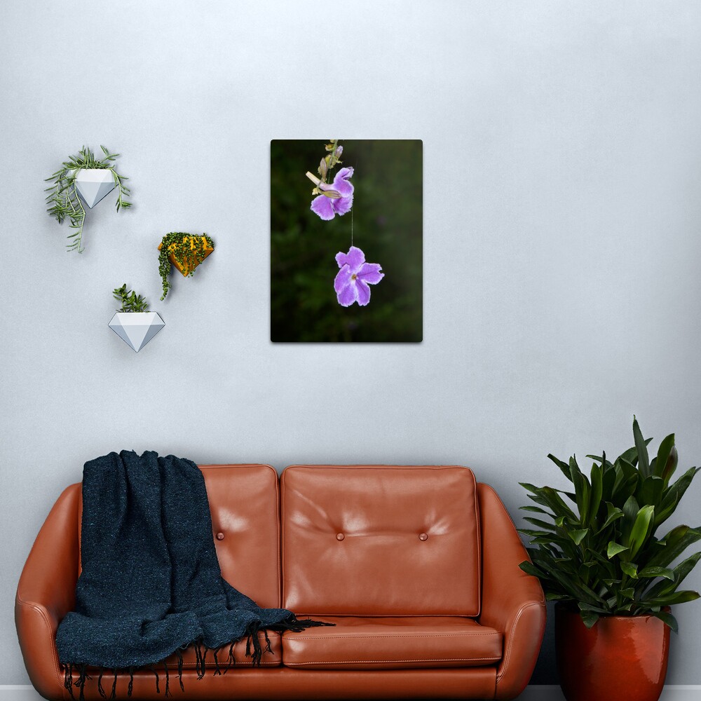 Hanging by a thread Metal Print