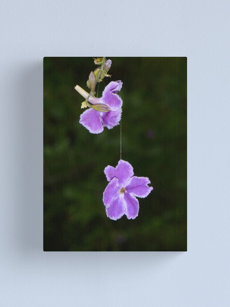 Alternate view of Hanging by a thread Canvas Print
